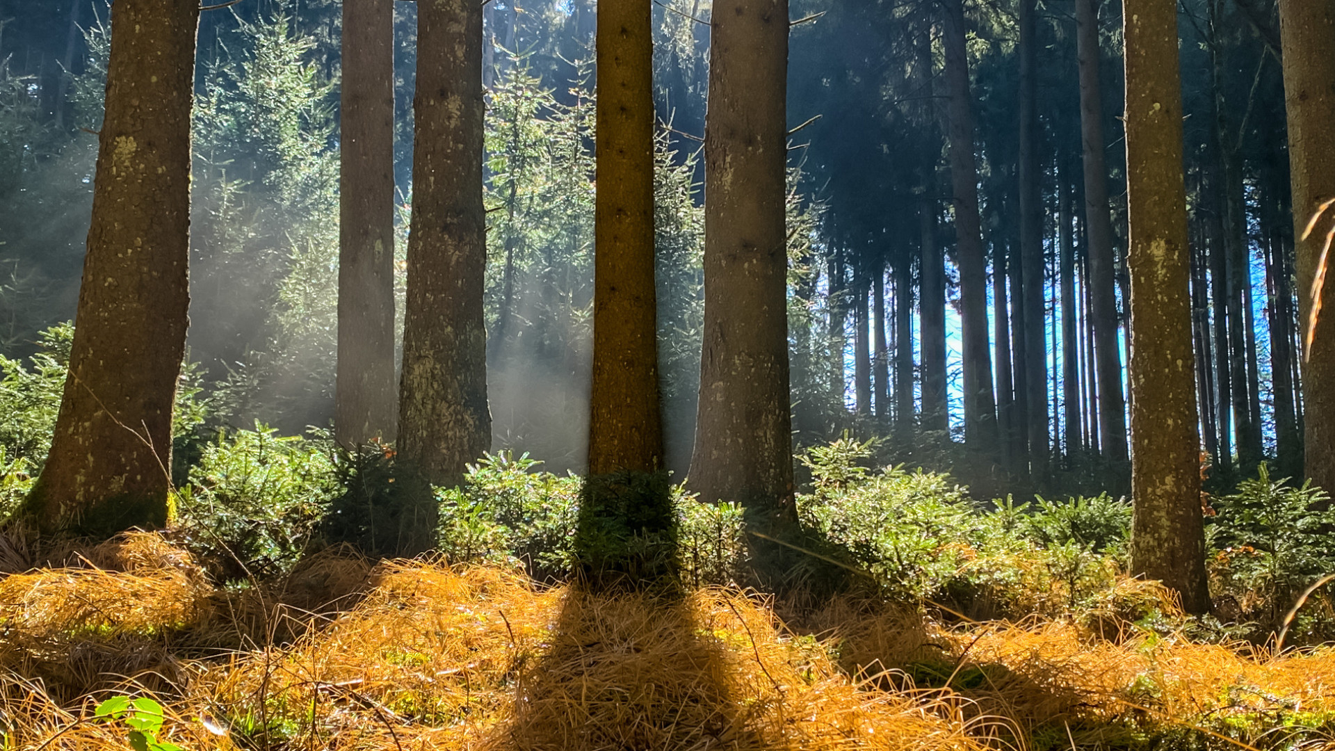 Prescribe QUOTE IMAGES