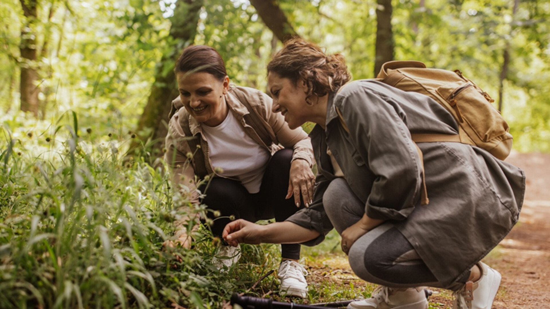 Forest and outdoor learning these awards are perfect for
